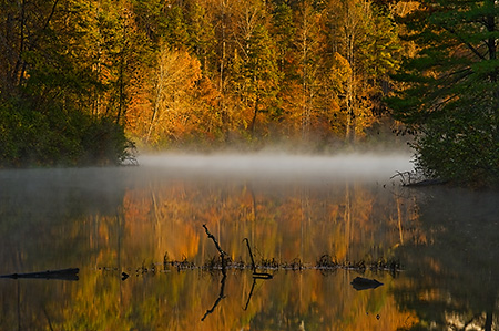 Fall Reflection at the Ivy Creek Natural Area, Albemarle County, VA